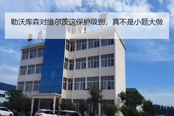 勒沃库森对维尔茨这保护级别，真不是小题大做！