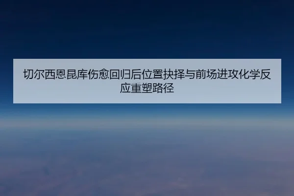 切尔西恩昆库伤愈回归后位置抉择与前场进攻化学反应重塑路径