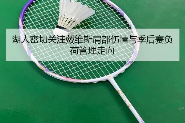 湖人密切关注戴维斯肩部伤情与季后赛负荷管理走向