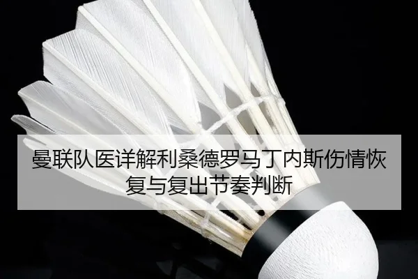 曼联队医详解利桑德罗马丁内斯伤情恢复与复出节奏判断